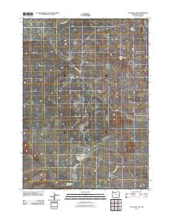 2011 Map of Palomino Lake, 2011 Print