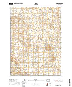 2020 Map of Palomino Lake, 2020 Print