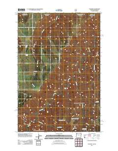 2011 Map of Paradise, 2011 Print