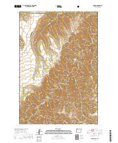 2020 Map of Paradise, 2020 Print
