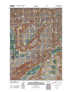 2011 Map of Paulina, 2011 Print