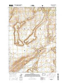 2014 Map of Paulina, 2014 Print