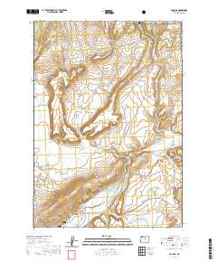 2020 Map of Paulina, 2020 Print