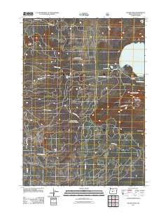 2011 Map of Paulina Peak, 2011 Print