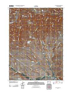 2011 Map of Payne Creek, 2011 Print