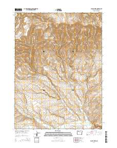 2014 Map of Payne Creek, 2014 Print
