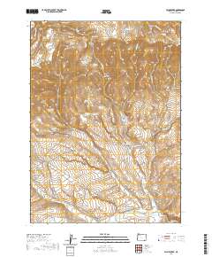 2020 Map of Payne Creek, 2020 Print