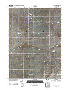 2011 Map of Peacock Lake, 2011 Print