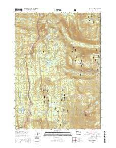 2014 Map of Pelican Butte, 2014 Print