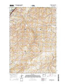 2014 Map of Petersburg, 2014 Print