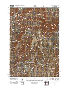 2011 Map of Peterson Point, 2011 Print