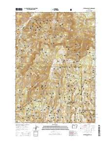 2014 Map of Peterson Point, 2014 Print