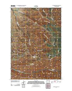 2011 Map of Peterson Ridge, 2011 Print