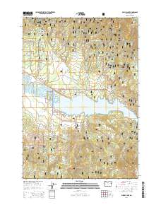 2014 Map of Phillips Lake, 2014 Print