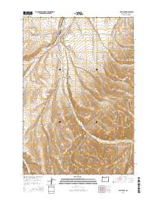 2014 Map of Pilot Rock, 2014 Print