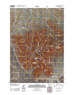 2011 Map of Pine Mountain, 2011 Print