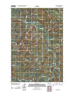 2011 Map of Pittsburg, 2011 Print