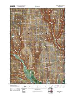 2011 Map of Poison Creek, 2011 Print