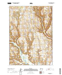 2020 Map of Poison Creek, 2020 Print