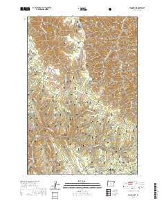 2020 Map of Poison Point, 2020 Print
