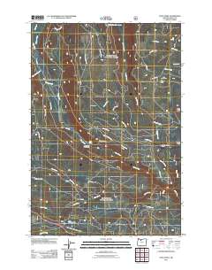 2011 Map of Post Point, 2011 Print