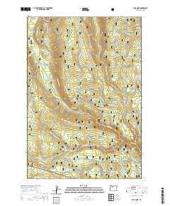 2020 Map of Post Point, 2020 Print