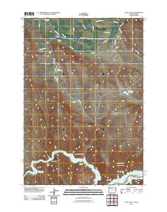 2011 Map of Posy Valley, 2011 Print
