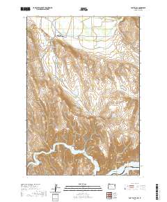 2020 Map of Posy Valley, 2020 Print