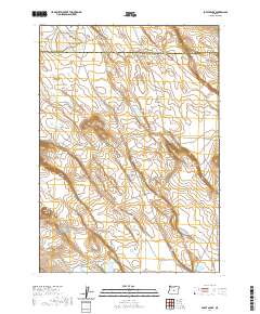2020 Map of Potato Lake, 2020 Print