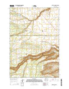 2014 Map of Potters Ponds, 2014 Print