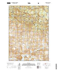 2020 Map of Prairie Hill, 2020 Print