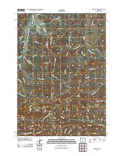 2011 Map of Prairie Peak, 2011 Print