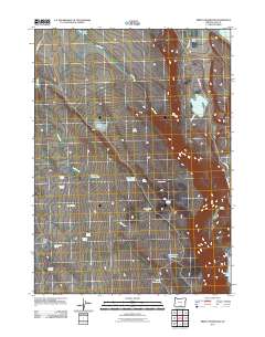 2011 Map of Priday Reservoir, 2011 Print