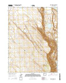 2014 Map of Priday Reservoir, 2014 Print