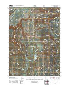 2011 Map of Prospect South, 2011 Print