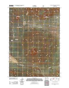 2011 Map of Pumice Desert East, 2011 Print
