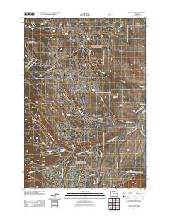 2011 Map of Rail Gulch, 2011 Print