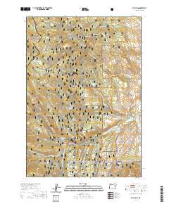 2020 Map of Rail Gulch, 2020 Print