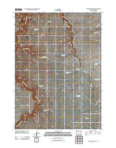 2011 Map of Rawhide Pocket, 2011 Print