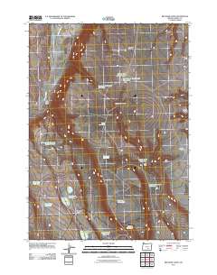 2011 Map of Red Bank Lakes, 2011 Print