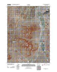2011 Map of Red Mountain, 2011 Print