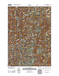 2011 Map of Reynolds Ridge, 2011 Print