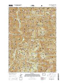 2014 Map of Reynolds Ridge, 2014 Print