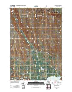2011 Map of Richland, 2011 Print