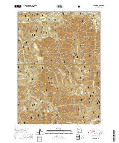 2020 Map of Rigdon Point, 2020 Print