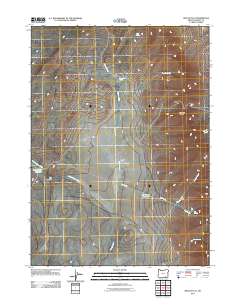 2011 Map of Rincon Flat, 2011 Print