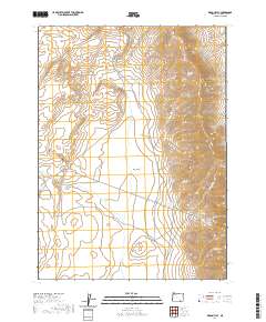 2020 Map of Rincon Flat, 2020 Print