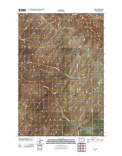 2011 Map of Ring, 2011 Print