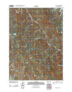 2011 Map of Rio Canyon, 2011 Print