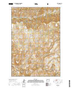 2020 Map of Ritter, 2020 Print